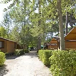 Bosco Hotel *